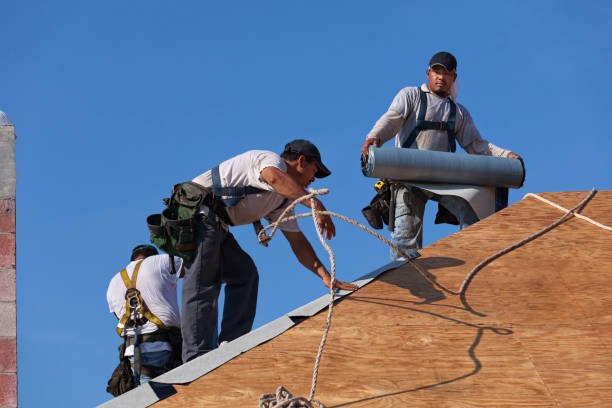 Best Local Roofing Companies  in Union Springs, AL